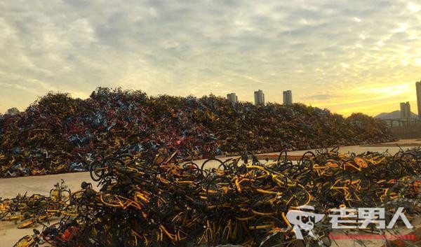 厦门10万辆共享单车患泛滥成灾 像处理垃圾每天处理1000多辆