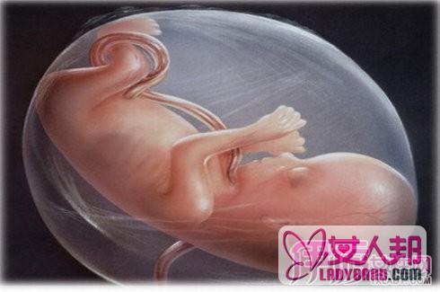 怀孕三次死胎还能再怀孕吗 造成胎停育的6大因素