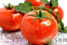 番茄和西红柿有什么区别？番茄和西红柿一样吗？