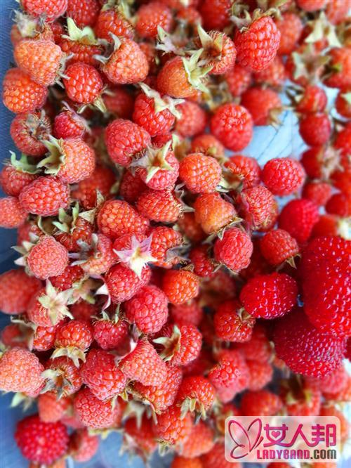 >覆盆子和树莓的区别 覆盆子的功效与作用