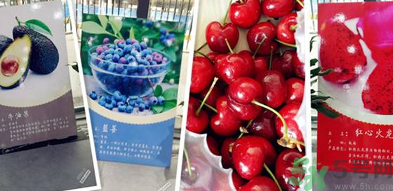 武汉哪里有新鲜便宜的水果?武汉水果批发市场有哪些?