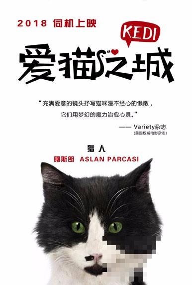 >《爱猫之城》海报发布 七大异域风情猫萌力来袭