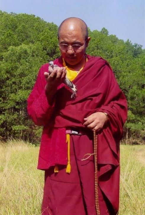 >索达吉堪布:藏地各大教派中虹身成就不胜枚举