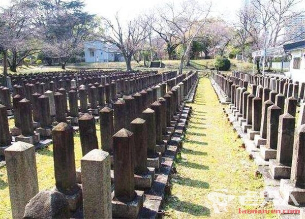 >独居老人死后无人认领 日本实行生前登记墓地措施