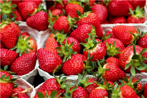 >草莓放哪保存 草莓放冰箱的正确方法