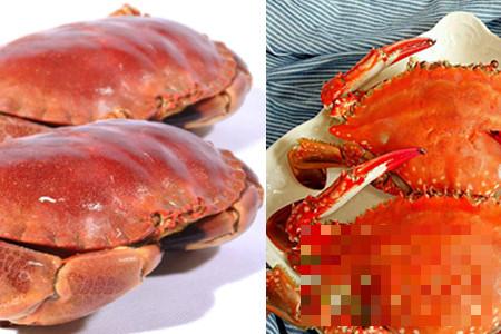 海蟹品种繁多 分类烹饪才能发挥应有功效