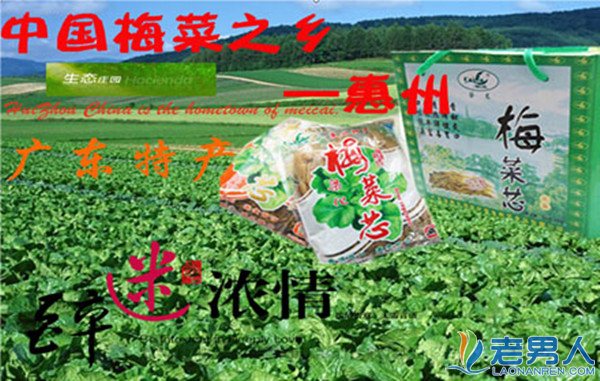 广东惠州揭阳出现问题盐用来腌菜 无良厂家遭查处