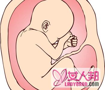 >【胎盘植入】胎盘植入是什么意思_胎盘植入的治疗