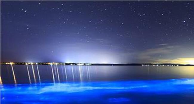 【大黑石荧光海滩】荧光海滩确来自大黑石 拍照用了慢门曝光(图)