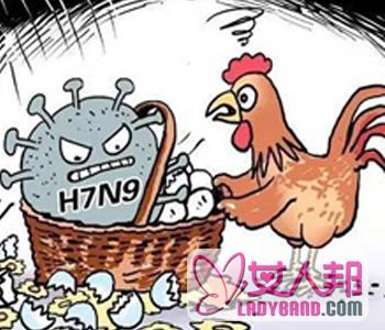 >【禽流感是怎么引起的】禽流感癥狀與感冒的區別_禽流感治療誤_禽流感預防措施有哪些