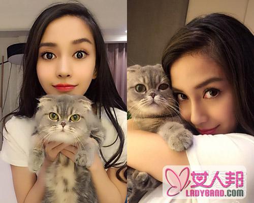 >Angelababy抱猫咪卖萌 学猫耳朵扎发美过她