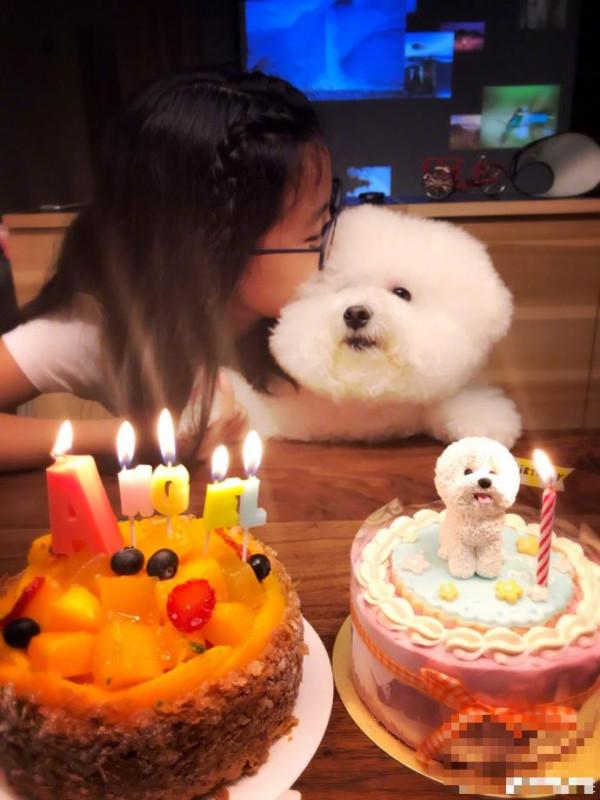 贾静雯12岁大女儿与萌宠同庆生 爱犬专属蛋糕抢镜