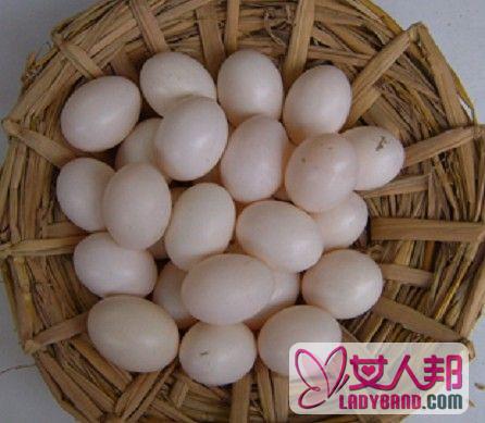 >鸽子蛋的功效与作用 吃鸽子蛋的好处