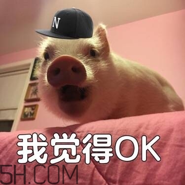 >ojbk是什么意思？ojbk表情包