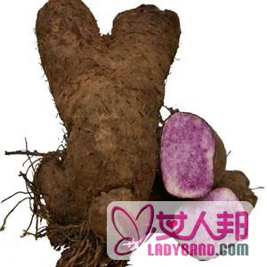 >【煮紫薯需要多长时间】煮紫薯的做法_紫薯粥的营养价值