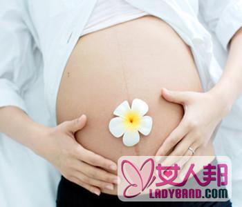 【怎么给孕早期孕妇补钙】孕早期补钙注意事项