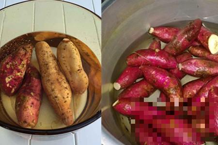 >煮红薯的热量早知道 低脂食材吃出好身材