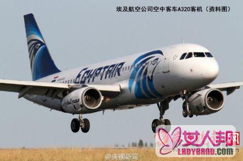 埃航MS804失联 机型空客A320 截止2012年发生59宗事故