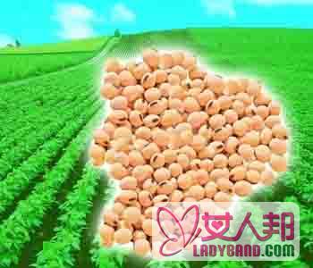 【大豆卵磷脂】大豆卵磷脂的功效与作用_大豆卵磷脂的副作用