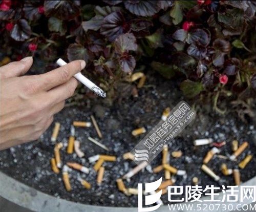 中国烟民3.16亿 1克重烟碱能毒死300只兔或500只老鼠