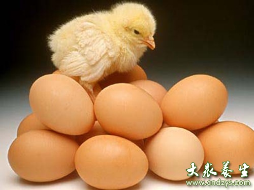 >生鸡蛋与熟鸡蛋的区别