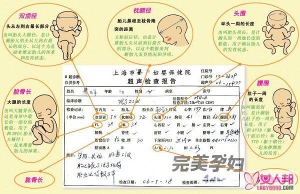 >准妈妈要学会看孕期B超检查单