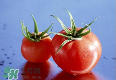 西红柿能和黄瓜一起吃吗？黄瓜可以和西红柿一起吃吗？