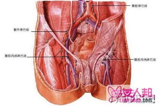>腹股沟拉伤如何治疗  病化有什么特点呢