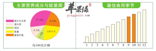 活血散瘀的健康佳果——沙棘