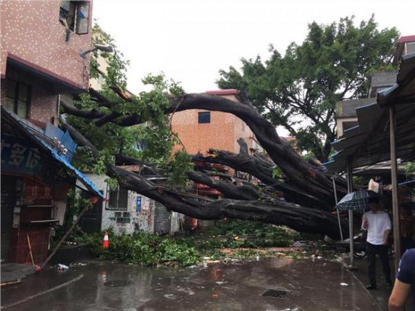 王飞跃安全 王飞跃:争分夺秒排除险情 确保群众生命安全