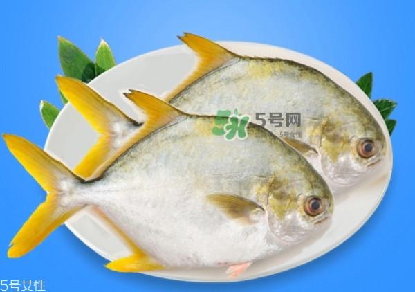 金鲳鱼的营养价值 金鲳鱼的功效作用