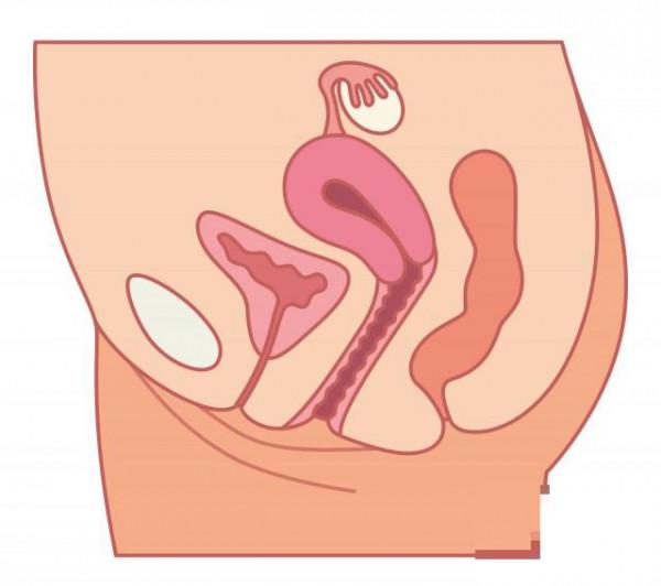 月经期间排出肉状物 其实是脱落的子宫内膜