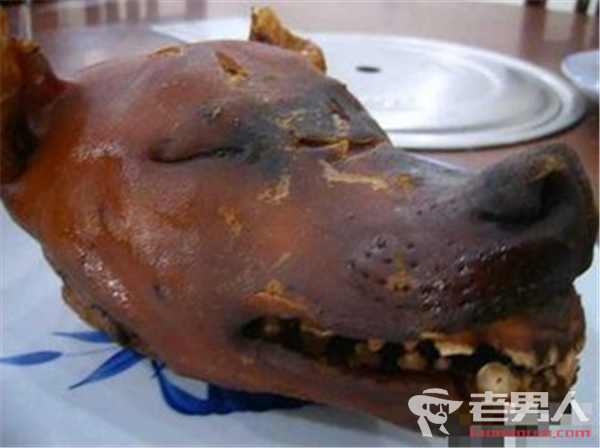 >万元名犬被盗走烹食 警方回应：因没办证每斤赔8元