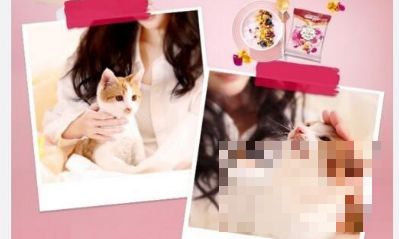 人不如猫系列：杨幂的猫居然都出道拍广告了 开微博瞬间好几万粉丝 ！