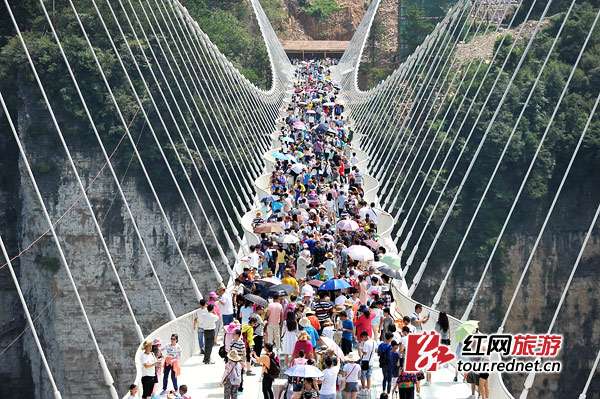 洪钢和朱婷合影 中国女排MVP朱婷老家房子成“景点” 乡亲赶三十里路与其合影