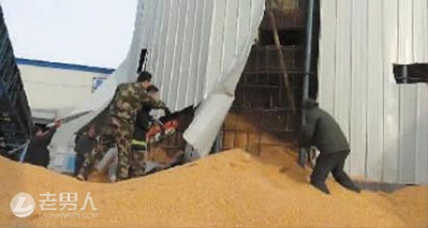 工人粮库进行封顶作业 不慎落入玉米堆里被埋
