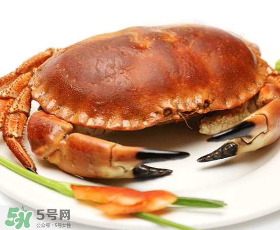 面包蟹的营养价值 面包蟹的产地