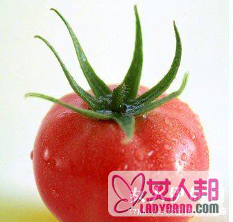 黄瓜西红柿减肥法的热量
