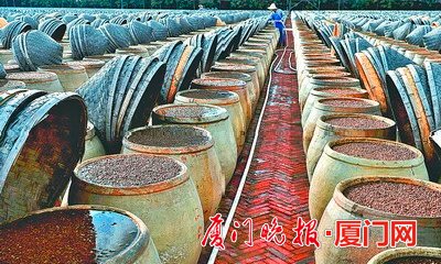 >厦门晚报:古龙酱文化园:千年酱香坚守中国传统技艺