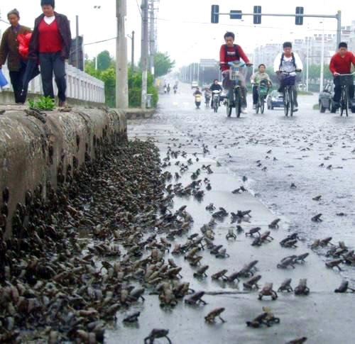 >广东省地震局:近期全省不会发生破坏性地震