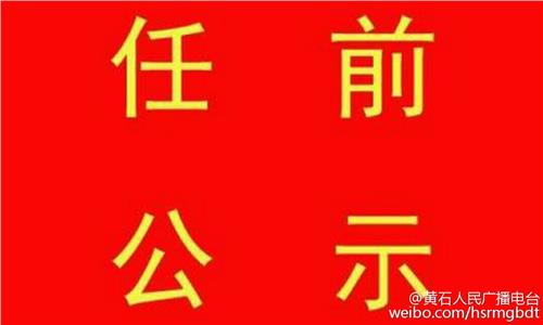胡玖明任前公示 湖北省委组织部干部任前公示公告 两人职位变动