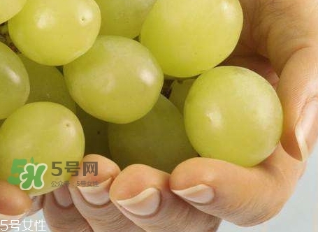 绿葡萄的营养价值_绿葡萄的功效与作用及饮食禁忌