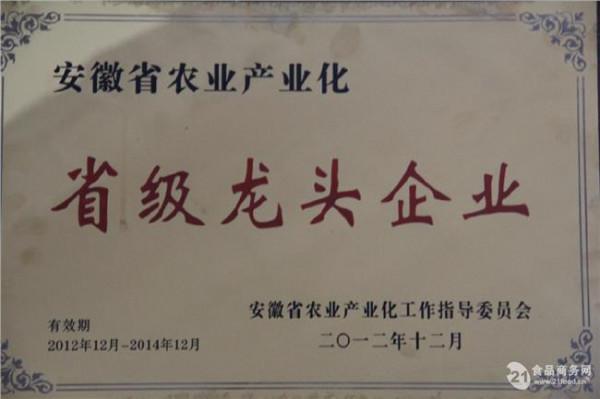 许崇信安徽 安徽许崇信去向 安徽龙头企业将破产 26亿去向成谜