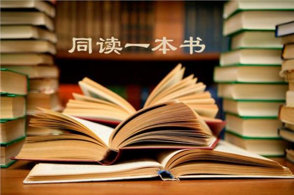 >鲁斌写的书 共同读书/一本由英国人写的对中国教育具有指导意义的书【建议阅读】