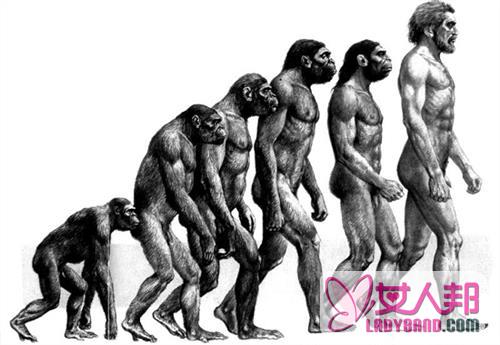 论达尔文进化论的重要意义