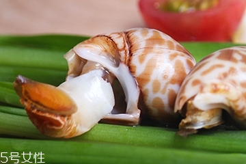 >海螺能和西瓜一起吃吗？海螺和西瓜能同食吗？