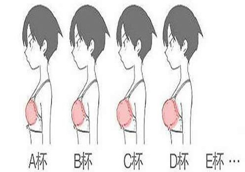 胸贴分大小码吗 胸贴罩杯abcd怎么选
