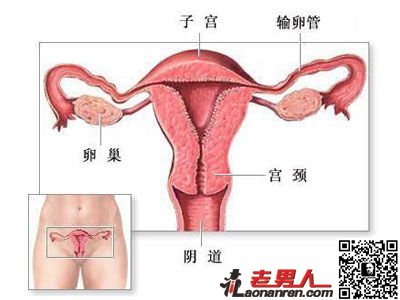 >图揭女人避孕全过程【图】