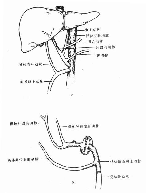 >“肝胆泰斗”关幼波的私家中医方(2)