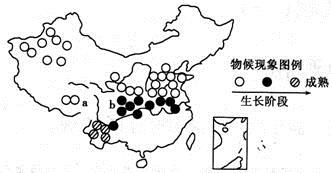 >新城区将打造内蒙古最大的高档花卉品种--蝴蝶兰生产基地